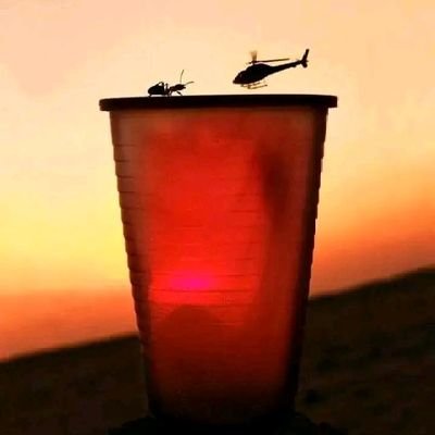 FarisDan118314's profile picture. 