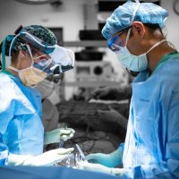 UC Davis Surgery (@ucdavissurgery) 's Twitter Profile Photo UC Davis Surgery (@ucdavissurgery) 's Twitter Profile Photo