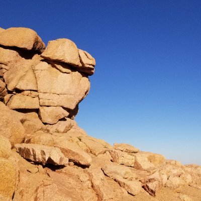 Saywho420's profile picture. 