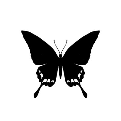 Ray (@raysemochi) / X