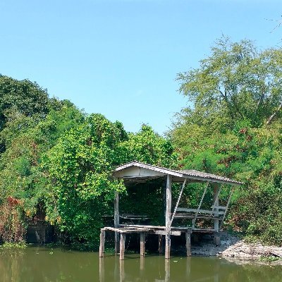 A44037682871's profile picture. 