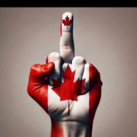 more of this, please (@tjmussett) 's Twitter Profile Photo more of this, please (@tjmussett) 's Twitter Profile Photo