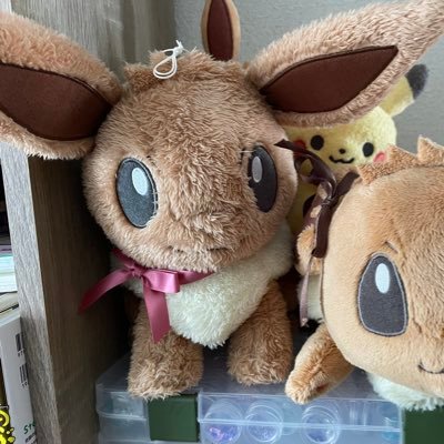 白と黒の動物のサブ垢でした。手芸/工作/ポケモンアカウント/GO→2941 9993 1809/sleep→2210-6075-3855