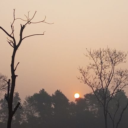 Abilailey68990's profile picture. Abi lailey 09