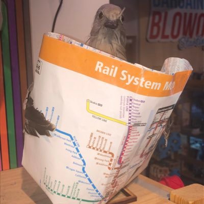 Chicago Urbanist Profile