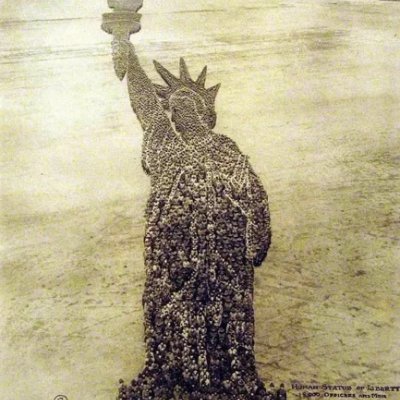 TRice2161964's profile picture. 