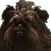 BasCB (@bastiancb2) 's Twitter Profile