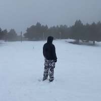 Mr_Duck95 (@mrduck_95) 's Twitter Profile