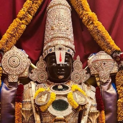 Abondancesacree's profile picture. 