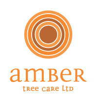 AmberTreeCare's profile picture. Tree Surgeons based in South East London