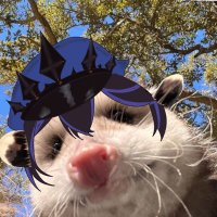 Takeshi Darkfall⚔️General Vtuber🪖ON Hiatus (@takeshidarkfall) 's Twitter Profile
