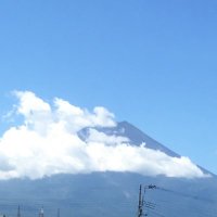 おがら (@0_ogara) Twitter profile photo