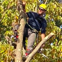Curtis the TREEman (@treemay86) 's Twitter Profile