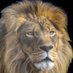 Cryptolion1010 (@cryptolion1010) Twitter profile photo Cryptolion1010 (@cryptolion1010) Twitter profile photo