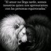 Fernando Castillo (@fernand38361105) Twitter profile photo Fernando Castillo (@fernand38361105) Twitter profile photo