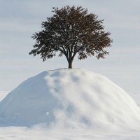 Buckeye Pingo (@permafrostdata) 's Twitter Profile Photo