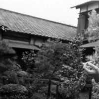 wao (@sassatoyarou) 's Twitter Profile Photo wao (@sassatoyarou) 's Twitter Profile Photo
