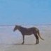 (evil) horse (@horseh0rse) Twitter profile photo (evil) horse (@horseh0rse) Twitter profile photo