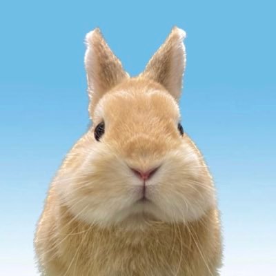 hm___727's profile picture. OC 50期