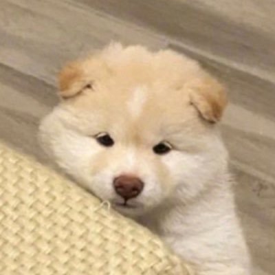 양요섭에게 집중합니다 . .
