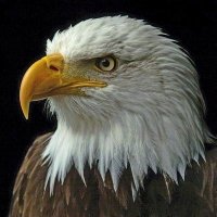 عبده (@bdh347080541996) Twitter profile photo