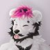 Yosef (@yosef13_) Twitter profile photo Yosef (@yosef13_) Twitter profile photo