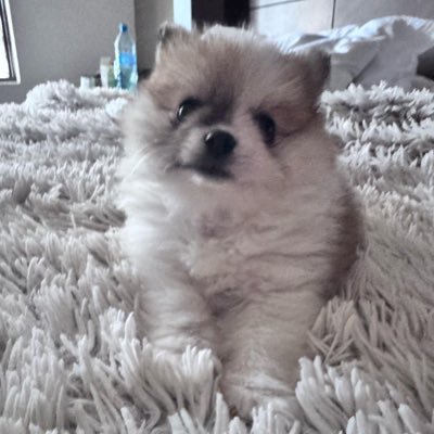 esceptx's profile picture. $300 🇲🇽