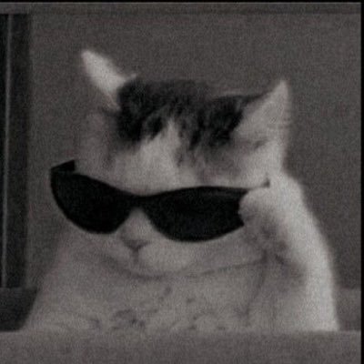 Runtime_Terror's profile picture. 🇮🇳