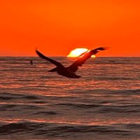 Daniel Aburumman (@danielaburumman) 's Twitter Profile
