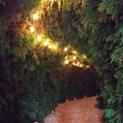 Nanase_0628's profile picture. 07/INTJ/通信制
久しぶりに妖怪ウォッチやったらハマりました

バイトやめたい