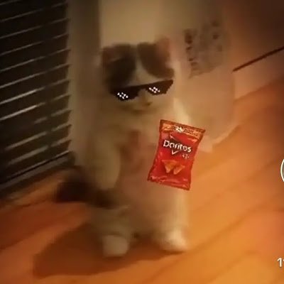 KarimSampa3646's profile picture. 