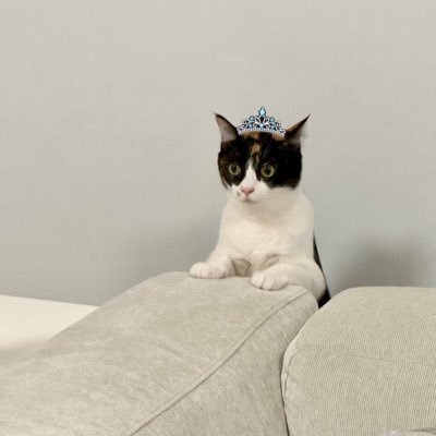 ciico39's profile picture. さくま大好きクラブ ⛄️🩷主に閲覧用です