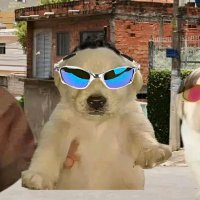 Angel (@raptoor_) 's Twitter Profile Photo Angel (@raptoor_) 's Twitter Profile Photo