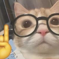 ⚡ (@thinkinginval) 's Twitter Profile