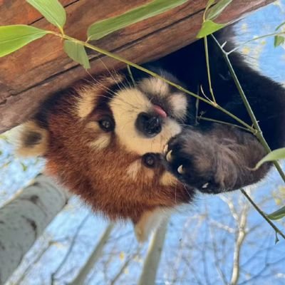 yahaha0630's profile picture. 日常分享