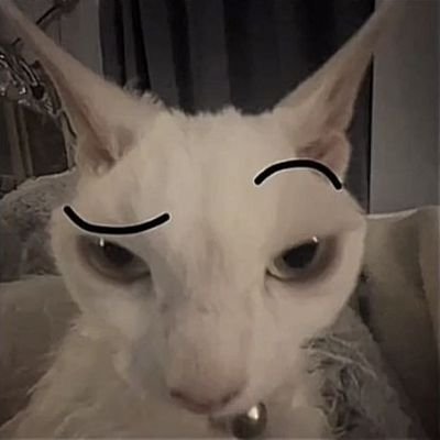 yassellxs's profile picture. DAY ONE