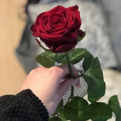 sathi5391999771's profile picture. i love Allah 🥰🥰