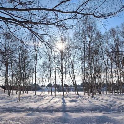 YipZola91865's profile picture. You Only Live Once. 中女一名，但心理一直未成年🤓 表面職業係化妝師💄 實際我就係我✨ 做自己想做，開心過好每一天✨ 旅遊。生活。健康。美妝。扮靚。無聊事。開心事。同你傾心事。#FolloForFolloBack #followback