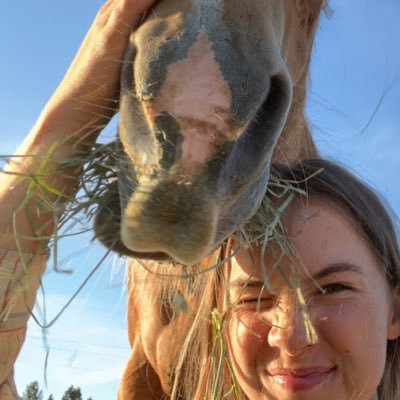 work, horses, sleep, repeat.