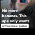 Not (@notmorebananas) Twitter profile photo Not (@notmorebananas) Twitter profile photo