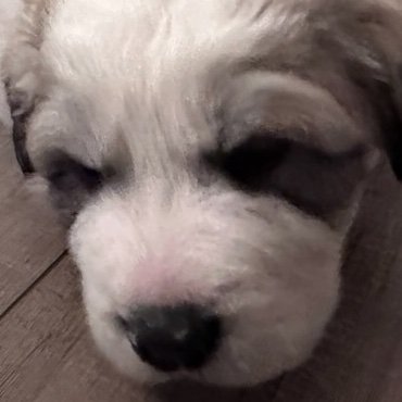 sedepri55's profile picture. https://t.co/ZdMoKAGir9