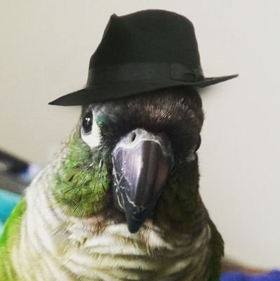 FaSTErGさんのプロフィール画像