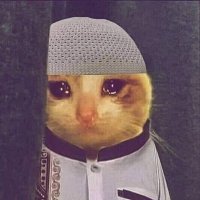 RMZ 🟨 (@inscriptioner) 's Twitter Profile Photo RMZ 🟨 (@inscriptioner) 's Twitter Profile Photo
