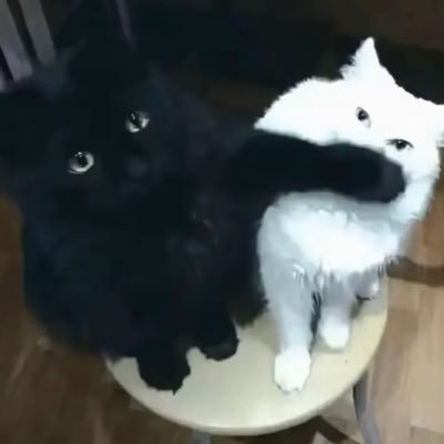 4fooo's profile picture. 22