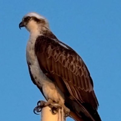 Che1FAAF1's profile picture. There is no lie in nature