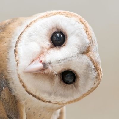 バンドoffさんのプロフィール画像