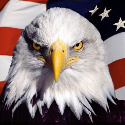 MaadeNAmericA's profile picture. Not a bot. Awake, not woke. 100% for America. We are ALL playing for the same team. Patriot. Loathe Bullies. WE THE PEOPLE ARE THE UNDERDOGS!