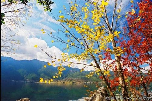 MerleDEspey5708's profile picture. Merle D. Espey, an accomplished and dedicated professional with a notable record of achievement.