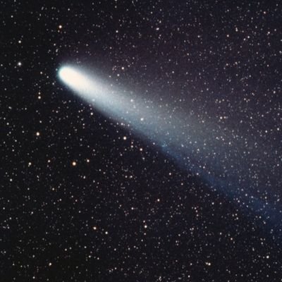 fannybleuet's profile picture. dogs and cats
j apprend