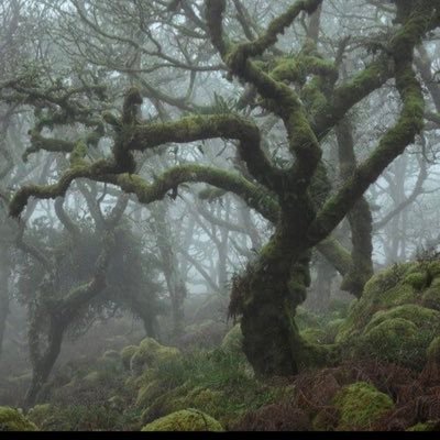 ChuvinKye's profile picture. Just a chill guy